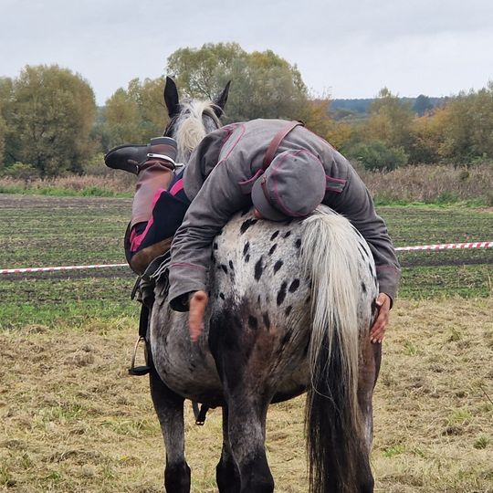Hubertus w Horodyszczu po raz trzeci. Była gonitwa za lisem i zawody z konikami na patykach [GALERIA ZDJĘĆ]