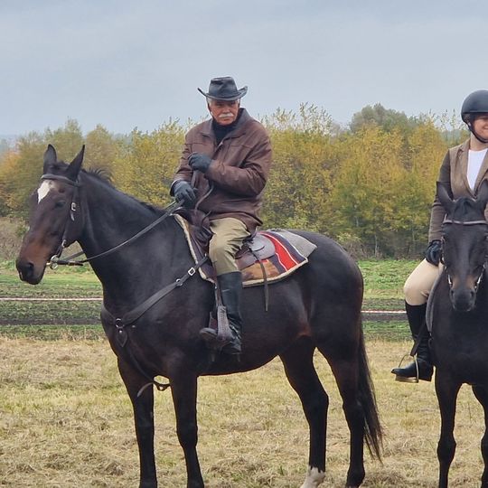 Hubertus w Horodyszczu po raz trzeci. Była gonitwa za lisem i zawody z konikami na patykach [GALERIA ZDJĘĆ]