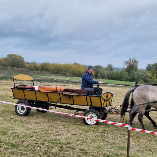 Hubertus w Horodyszczu po raz trzeci. Była gonitwa za lisem i zawody z konikami na patykach [GALERIA ZDJĘĆ]