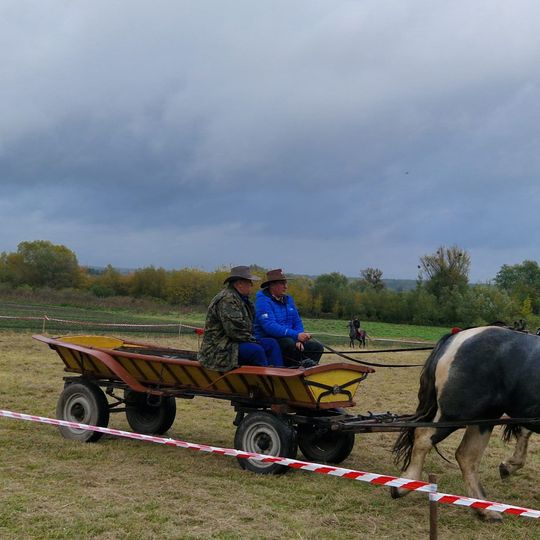 Hubertus w Horodyszczu po raz trzeci. Była gonitwa za lisem i zawody z konikami na patykach [GALERIA ZDJĘĆ]