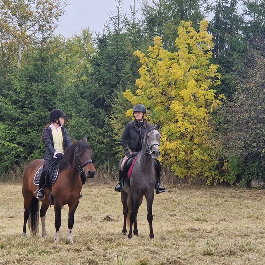 Hubertus w Horodyszczu po raz trzeci. Była gonitwa za lisem i zawody z konikami na patykach [GALERIA ZDJĘĆ]
