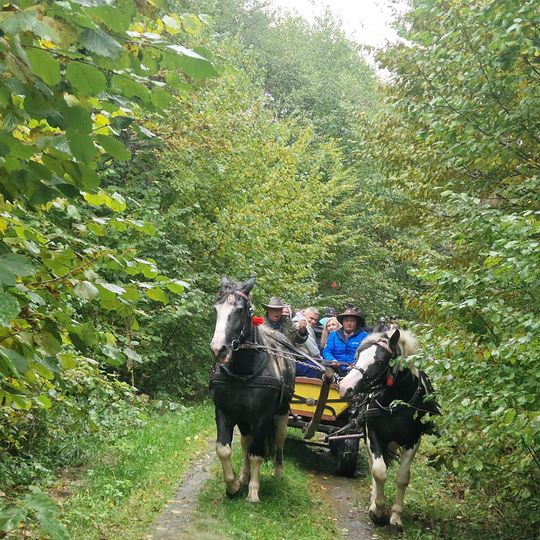 Hubertus w Horodyszczu po raz trzeci. Była gonitwa za lisem i zawody z konikami na patykach [GALERIA ZDJĘĆ]