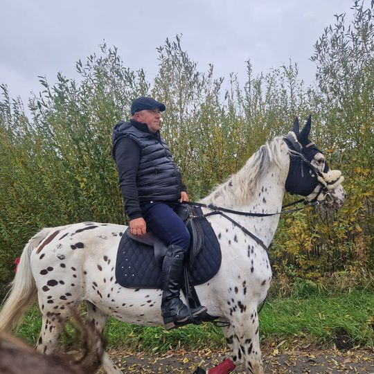 Hubertus w Horodyszczu po raz trzeci. Była gonitwa za lisem i zawody z konikami na patykach [GALERIA ZDJĘĆ]