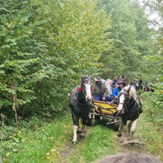 Hubertus w Horodyszczu po raz trzeci. Była gonitwa za lisem i zawody z konikami na patykach [GALERIA ZDJĘĆ]