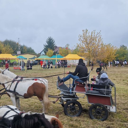 Hubertus w Horodyszczu po raz trzeci. Była gonitwa za lisem i zawody z konikami na patykach [GALERIA ZDJĘĆ]