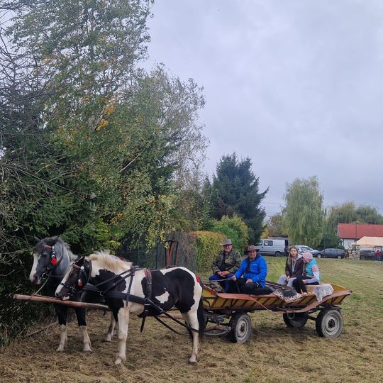 Hubertus w Horodyszczu po raz trzeci. Była gonitwa za lisem i zawody z konikami na patykach [GALERIA ZDJĘĆ]