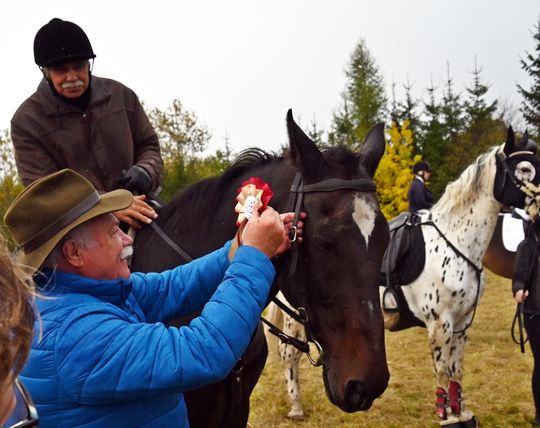 Hubertus w Horodyszczu po raz trzeci [GALERIA ZDJĘĆ]