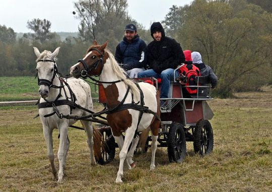 Hubertus w Horodyszczu po raz trzeci [GALERIA ZDJĘĆ]