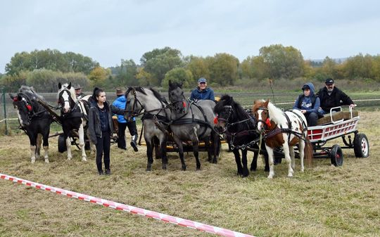 Hubertus w Horodyszczu po raz trzeci [GALERIA ZDJĘĆ]