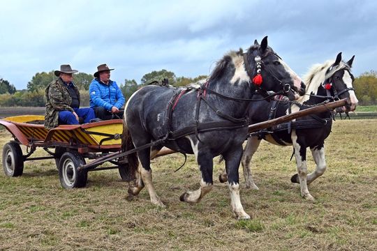Hubertus w Horodyszczu po raz trzeci [GALERIA ZDJĘĆ]