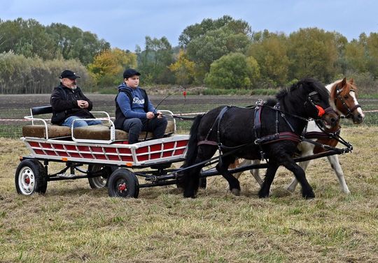 Hubertus w Horodyszczu po raz trzeci [GALERIA ZDJĘĆ]