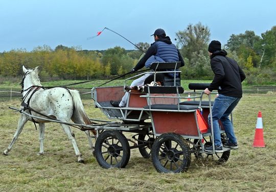 Hubertus w Horodyszczu po raz trzeci [GALERIA ZDJĘĆ]