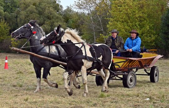 Hubertus w Horodyszczu po raz trzeci [GALERIA ZDJĘĆ]