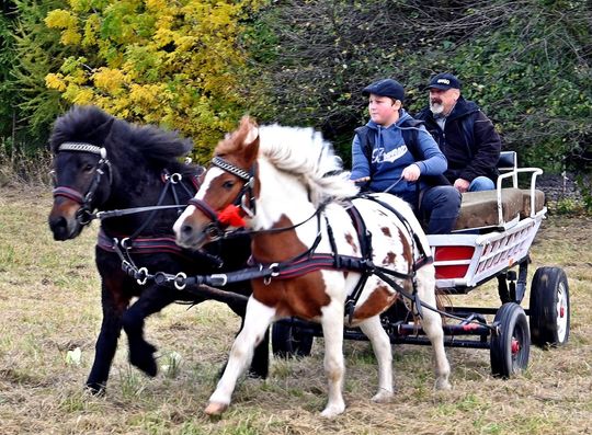 Hubertus w Horodyszczu po raz trzeci [GALERIA ZDJĘĆ]
