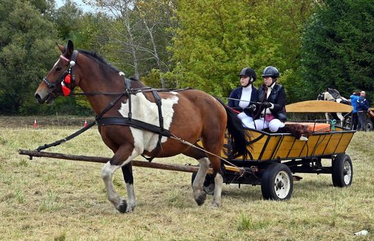 Hubertus w Horodyszczu po raz trzeci [GALERIA ZDJĘĆ]