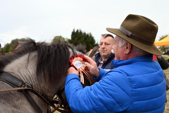 Hubertus w Horodyszczu po raz trzeci [GALERIA ZDJĘĆ]