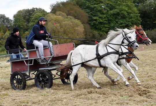 Hubertus w Horodyszczu po raz trzeci [GALERIA ZDJĘĆ]