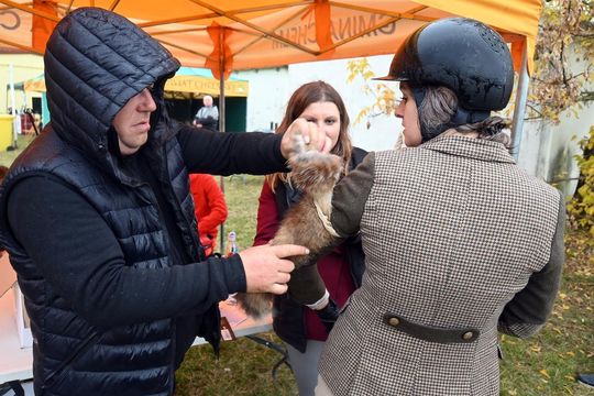 Hubertus w Horodyszczu po raz trzeci [GALERIA ZDJĘĆ]