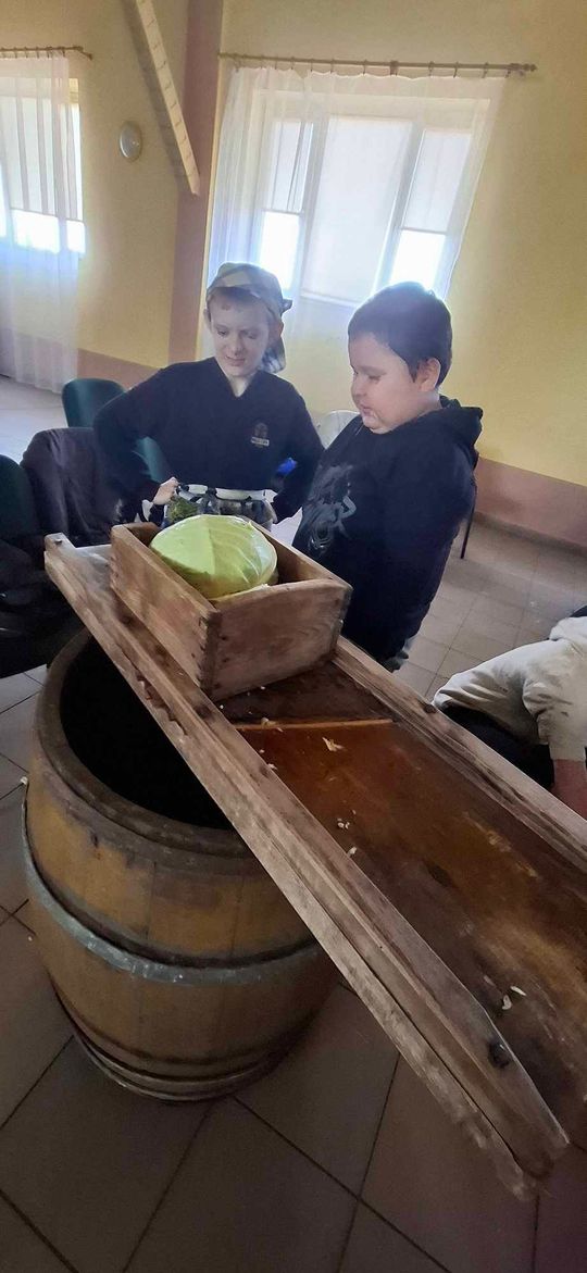 Gm. Izbica. Warsztaty kiszenia kapusty w Szkole Podstawowej w Tarzymiechach [GALERIA ZDJĘĆ] 