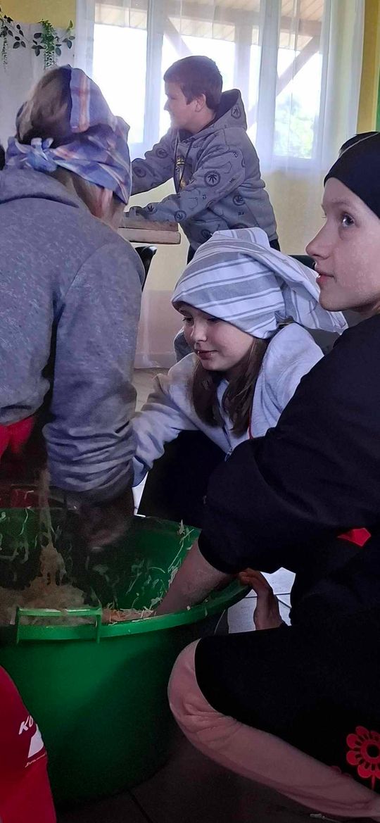 Gm. Izbica. Warsztaty kiszenia kapusty w Szkole Podstawowej w Tarzymiechach [GALERIA ZDJĘĆ] 