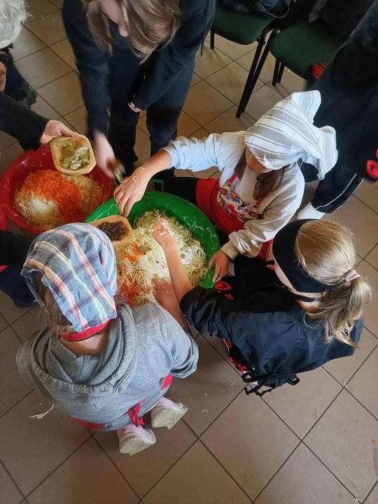 Gm. Izbica. Warsztaty kiszenia kapusty w Szkole Podstawowej w Tarzymiechach [GALERIA ZDJĘĆ] 