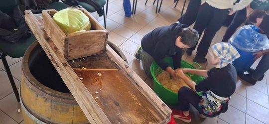 Gm. Izbica. Warsztaty kiszenia kapusty w Szkole Podstawowej w Tarzymiechach [GALERIA ZDJĘĆ] 