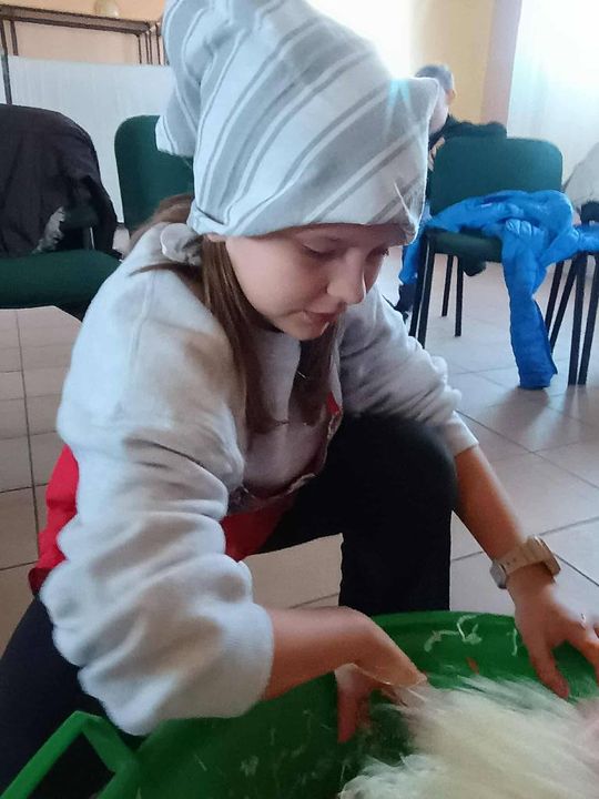 Gm. Izbica. Warsztaty kiszenia kapusty w Szkole Podstawowej w Tarzymiechach [GALERIA ZDJĘĆ] 