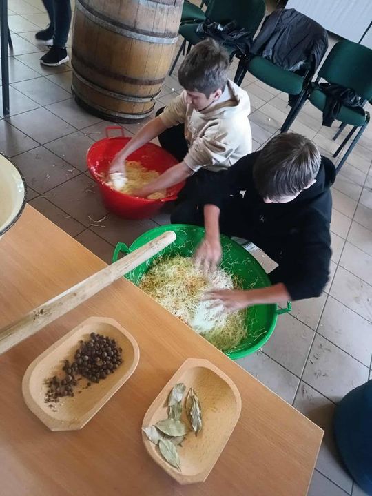 Gm. Izbica. Warsztaty kiszenia kapusty w Szkole Podstawowej w Tarzymiechach [GALERIA ZDJĘĆ] 