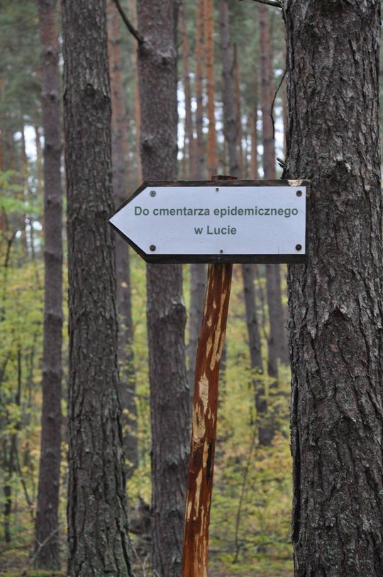 Pow. włodawski. Porządkowali cmentarze w Żdżarce i Lucie