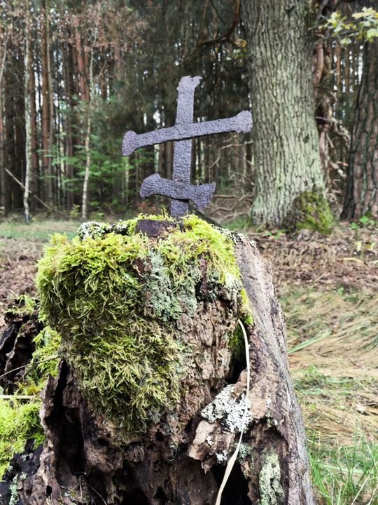 Pow. włodawski. Porządkowali cmentarze w Żdżarce i Lucie