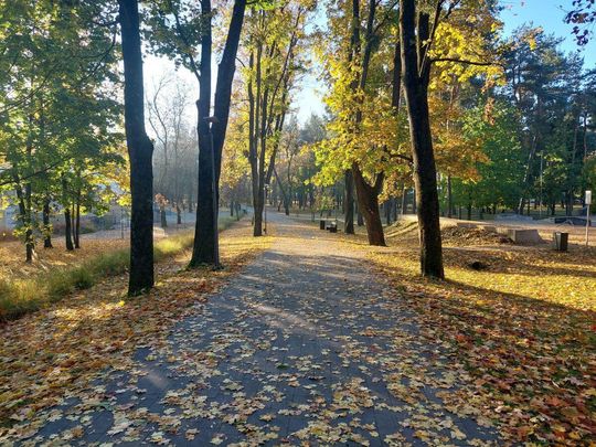 Mieszkańcy Tomaszowa Lubelskiego w oczekiwaniu na Karola Nawrockiego [ZDJĘCIA]
