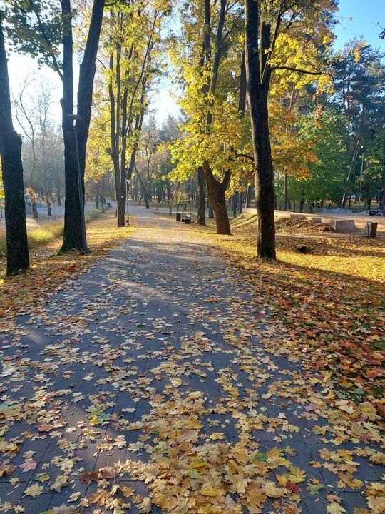 Mieszkańcy Tomaszowa Lubelskiego w oczekiwaniu na Karola Nawrockiego [ZDJĘCIA]