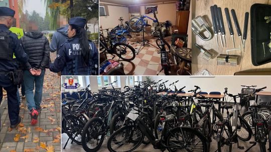 Sukces krasnostawskich kryminalnych! Rozbili zorganizowaną grupę przestępczą! [FILM+ZDJĘCIA]