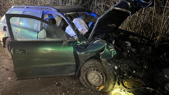 20-latek stracił panowanie nad audi i uderzył w drzewo [ZDJĘCIA]