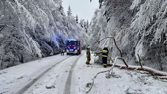 Atak zimy na Zamojszczyźnie. Dziesiątki interwencji straży [ZDJĘCIA]