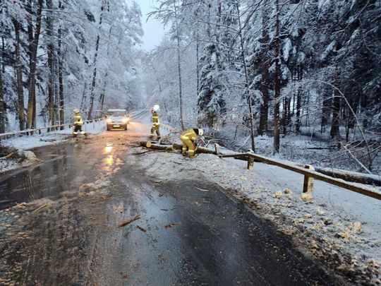 Atak zimy na Zamojszczyźnie. Dziesiątki interwencji straży [ZDJĘCIA]