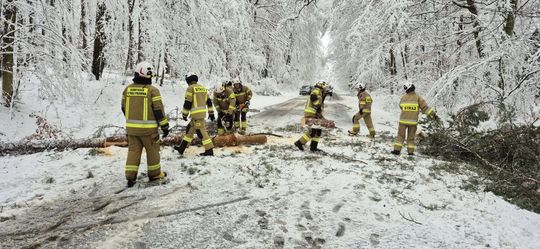 Atak zimy na Zamojszczyźnie. Dziesiątki interwencji straży [ZDJĘCIA]