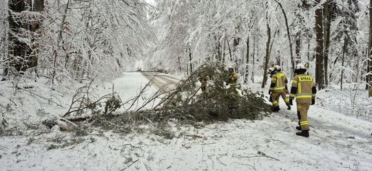 Atak zimy na Zamojszczyźnie. Dziesiątki interwencji straży [ZDJĘCIA]