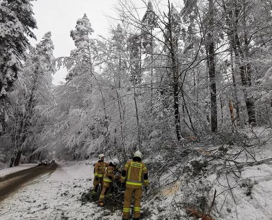 Atak zimy na Zamojszczyźnie. Dziesiątki interwencji straży [ZDJĘCIA]