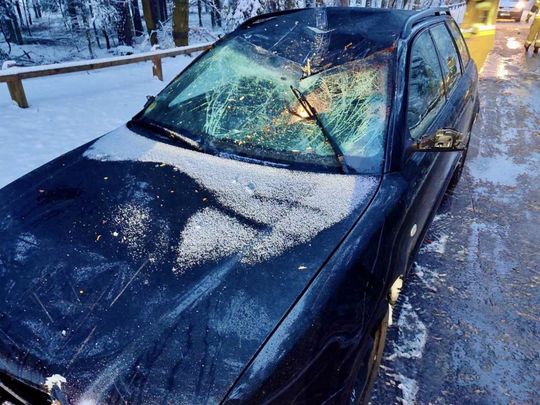 Atak zimy na Zamojszczyźnie. Dziesiątki interwencji straży [ZDJĘCIA]