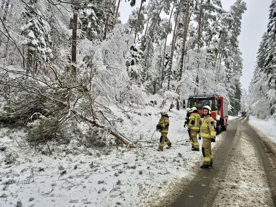 Atak zimy na Zamojszczyźnie. Dziesiątki interwencji straży [ZDJĘCIA]