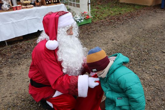 Gm. Siedliszcze. Magiczny Jarmark Bożonarodzeniowy w Dworze Kulik [GALERIA ZDJĘĆ]