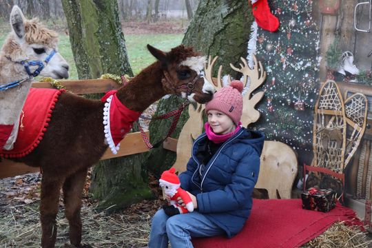 Gm. Siedliszcze. Magiczny Jarmark Bożonarodzeniowy w Dworze Kulik [GALERIA ZDJĘĆ]