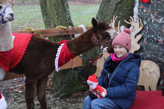 Gm. Siedliszcze. Magiczny Jarmark Bożonarodzeniowy w Dworze Kulik [GALERIA ZDJĘĆ]