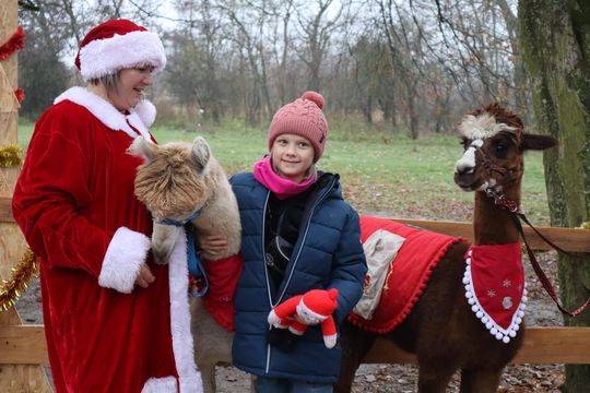Gm. Siedliszcze. Magiczny Jarmark Bożonarodzeniowy w Dworze Kulik [GALERIA ZDJĘĆ]