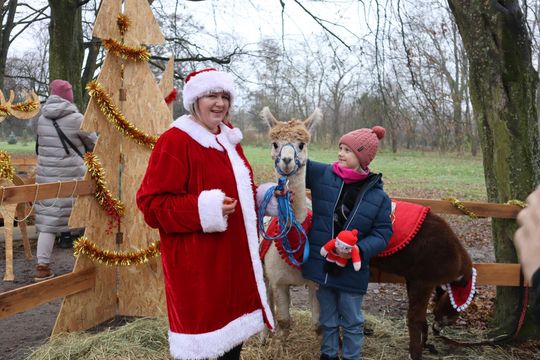 Gm. Siedliszcze. Magiczny Jarmark Bożonarodzeniowy w Dworze Kulik [GALERIA ZDJĘĆ]