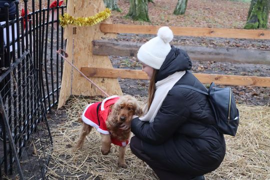Gm. Siedliszcze. Magiczny Jarmark Bożonarodzeniowy w Dworze Kulik [GALERIA ZDJĘĆ]