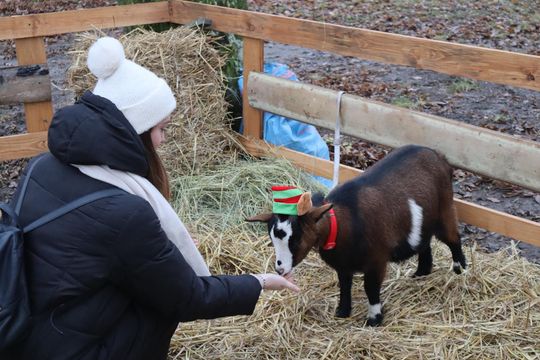 Gm. Siedliszcze. Magiczny Jarmark Bożonarodzeniowy w Dworze Kulik [GALERIA ZDJĘĆ]