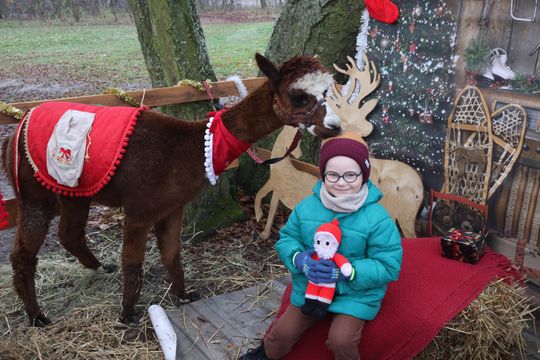 Gm. Siedliszcze. Magiczny Jarmark Bożonarodzeniowy w Dworze Kulik [GALERIA ZDJĘĆ]