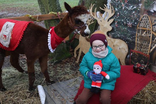 Gm. Siedliszcze. Magiczny Jarmark Bożonarodzeniowy w Dworze Kulik [GALERIA ZDJĘĆ]
